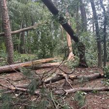 Front-Yard-Cleared-Out-Storm-Damage-in-Denton-MD 12